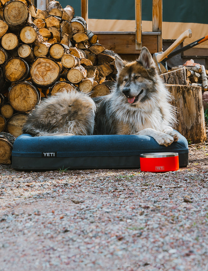 YETI® New Arrivals: The Latest Gear – YETI EUROPE